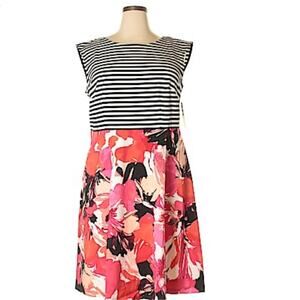 Sandra Darren Sleeveless Dress NWOT